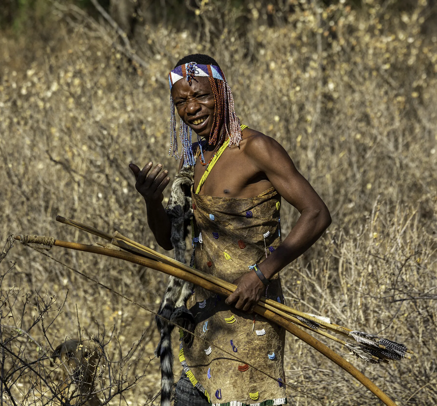 Hadzabe hunter with bow and arrows in the bush near Lake Eyasi, Tanzania