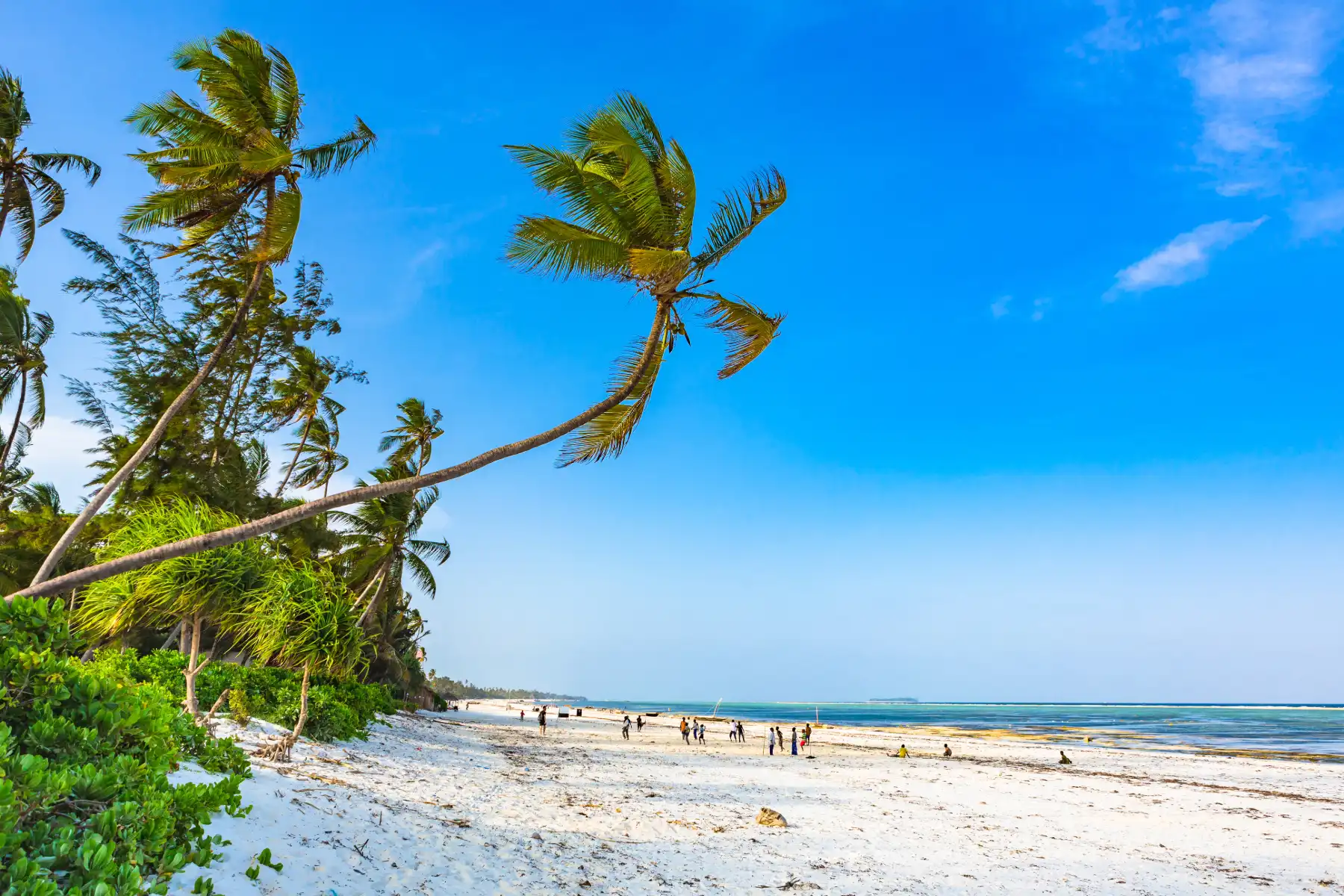 Bush & Beach: Pairing Safari with the Indian Ocean
