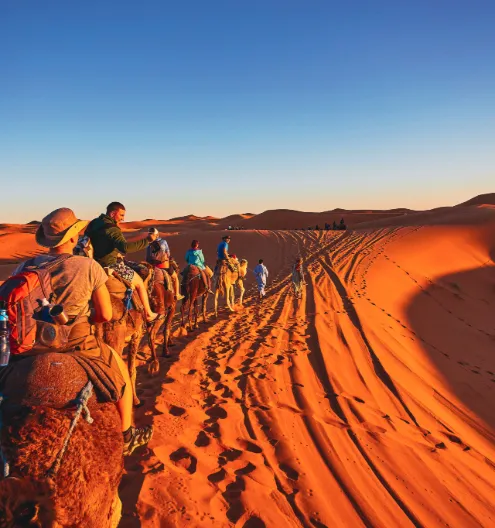 Medinas, Mountains & Sahara — tailor-made luxury African safari itinerary, Morocco