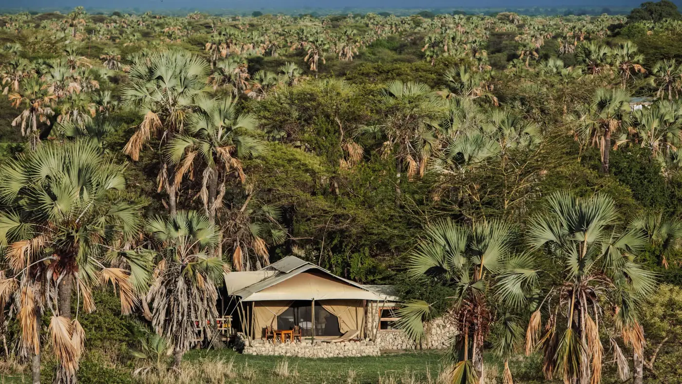Tarangire National Park — luxury African safari with NndeeAfrika