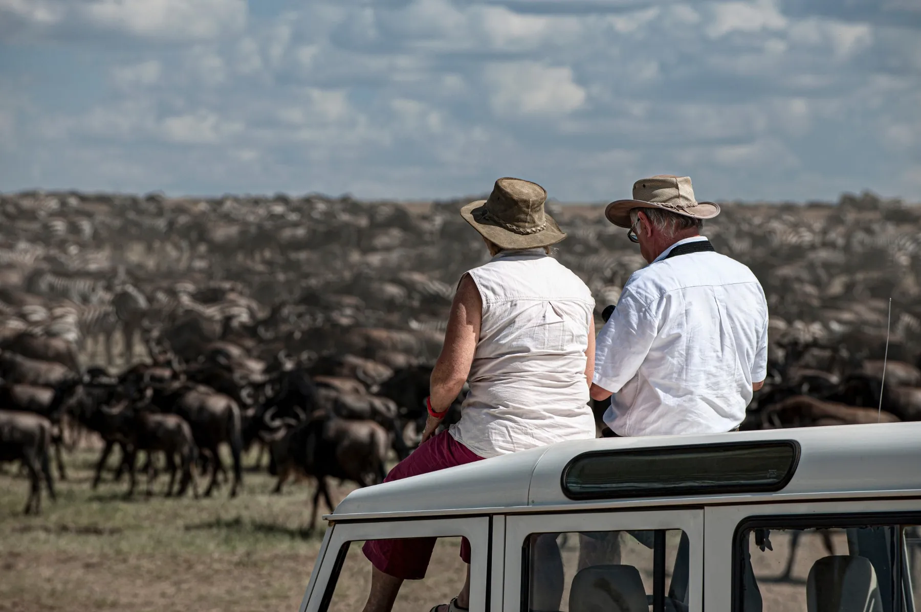 Senior couple on an African safari watching the Great Migration herds of wildebeest and zebra from a safari vehicle
