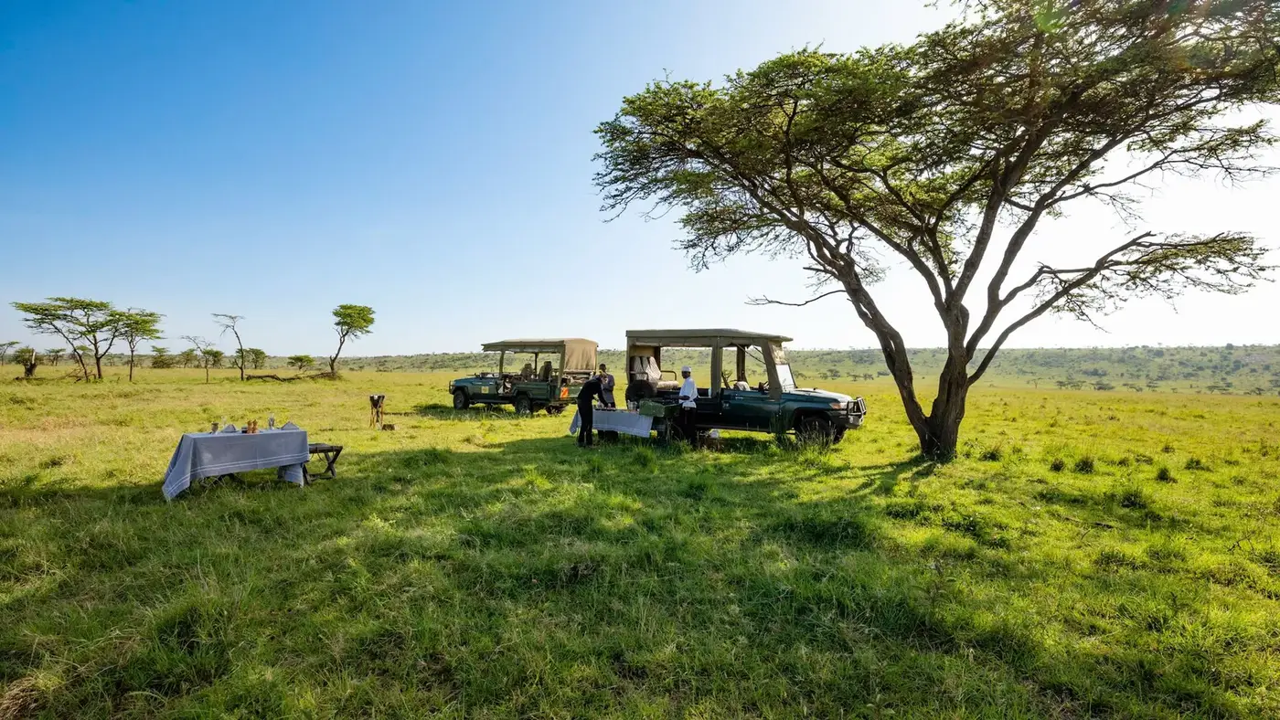 A private bush breakfast laid out on safari