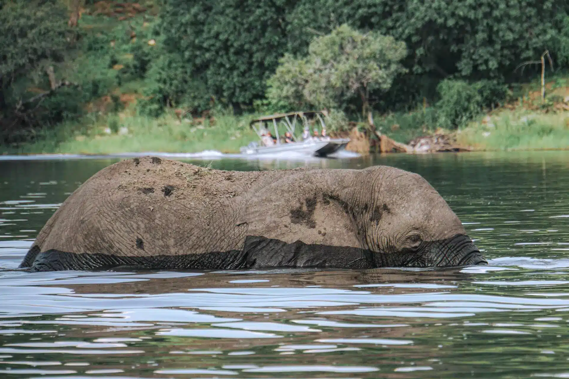 Tarangire National Park