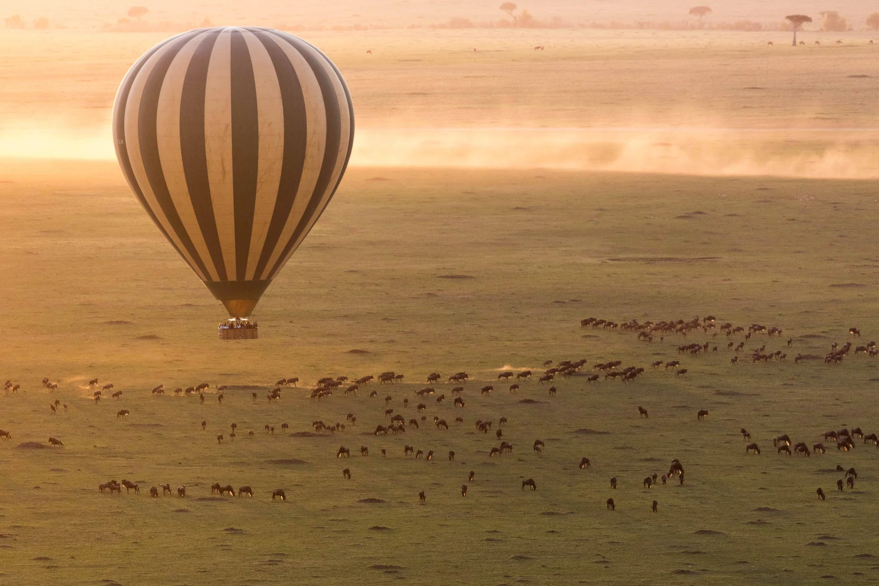 Hot-air balloon drifting above migration herds on the Serengeti plains in Tanzania