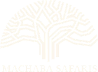 Machaba Safaris