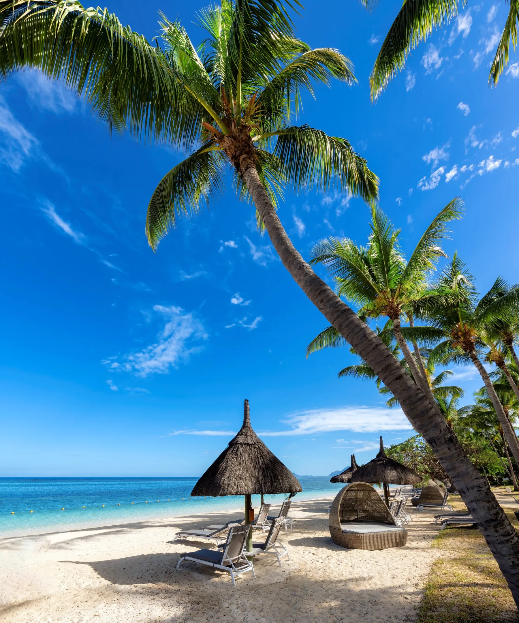 Thatched umbrellas and palms on a white sand beach in Mauritius