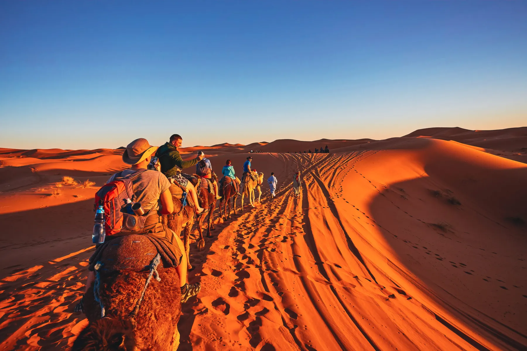 A camel caravan crossing the red dunes of the Sahara, Morocco