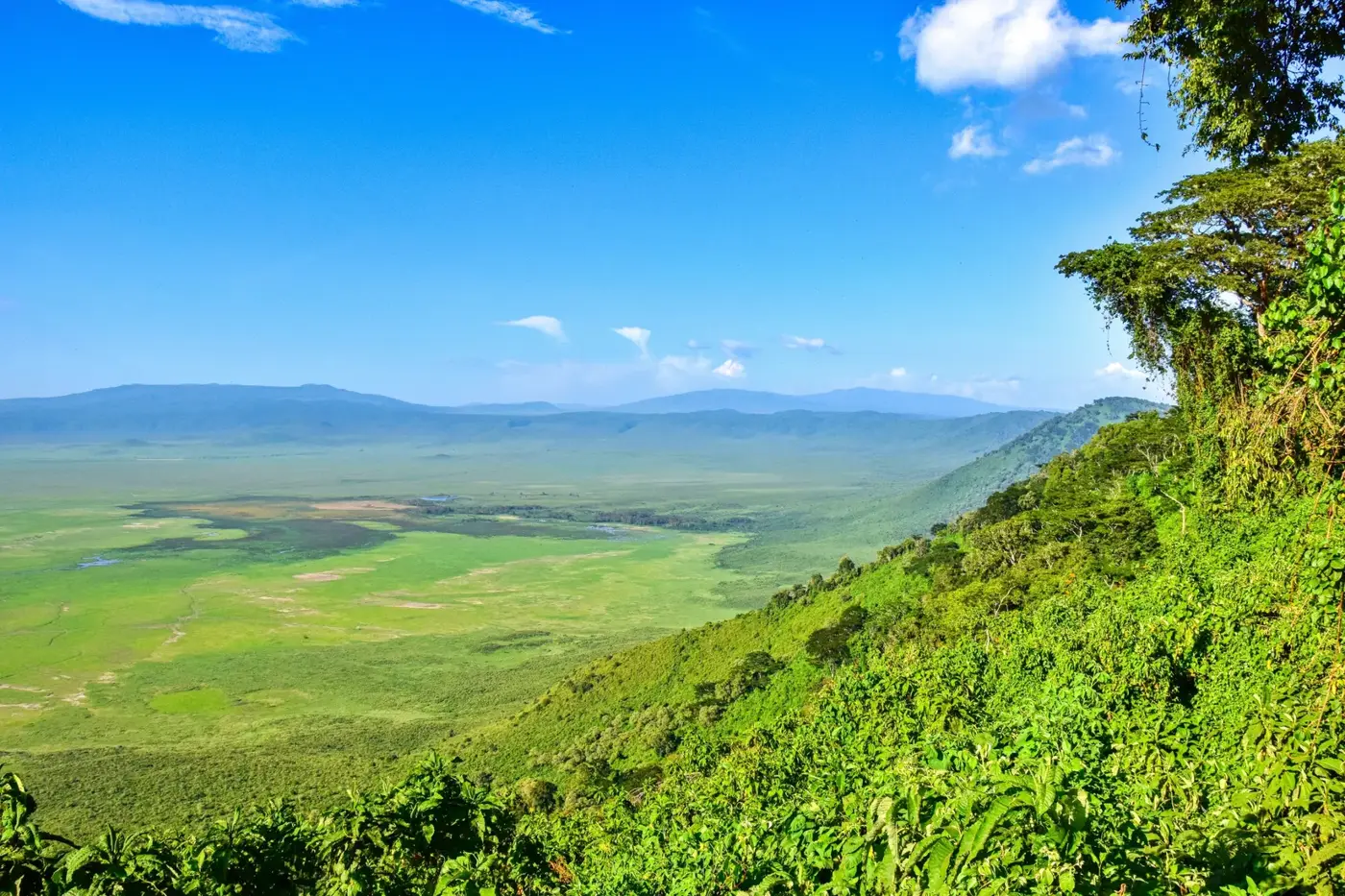 Kenya vs Tanzania: Which Safari Is Right for You?