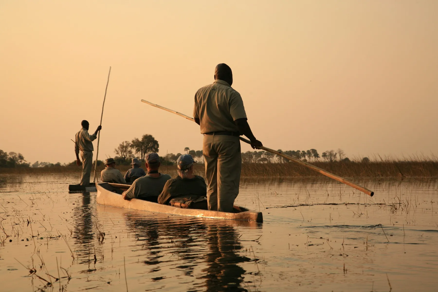 Mokoro canoes gliding through the Okavango Delta channels at sunset, Botswana