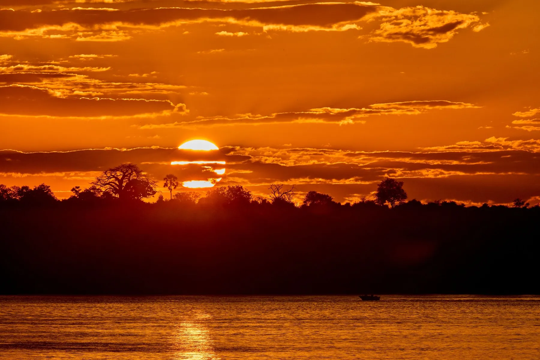 First-Time Safari: Everything You Need to Know