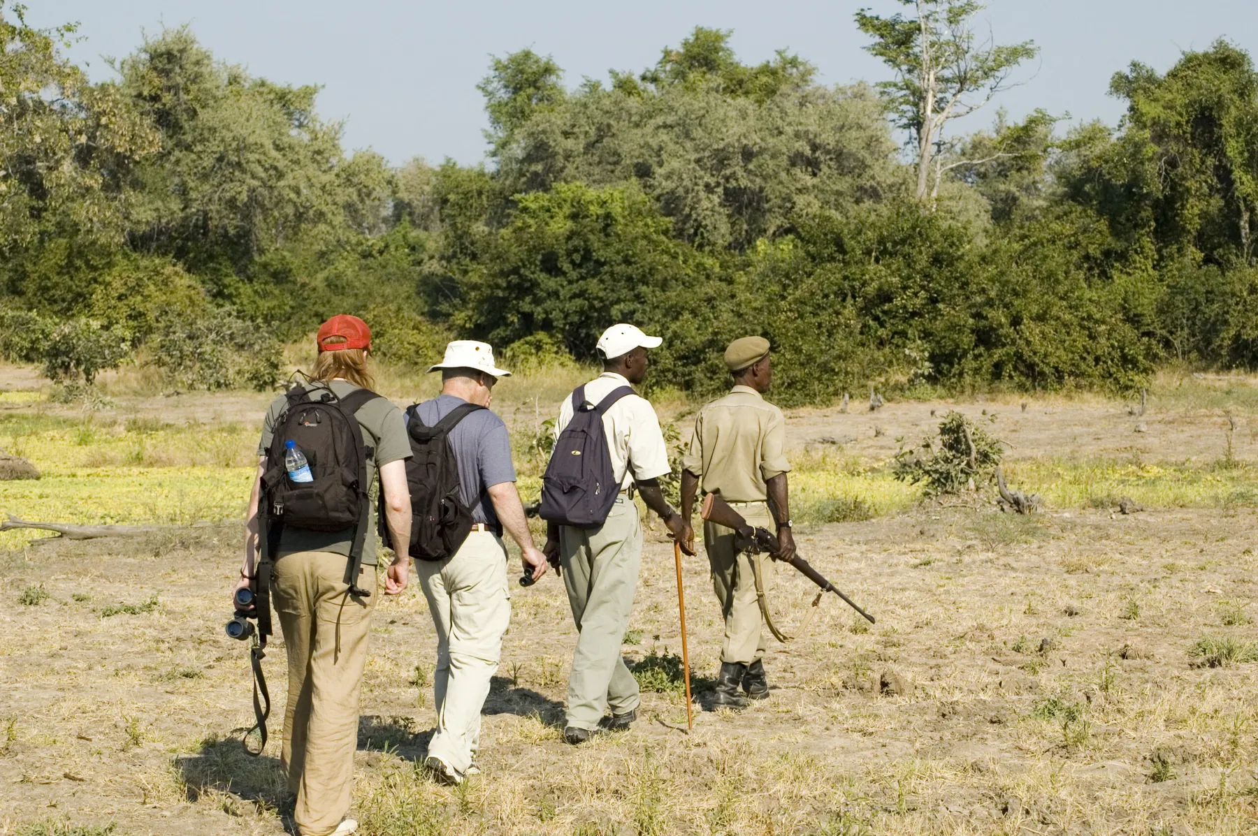 Walking Safari