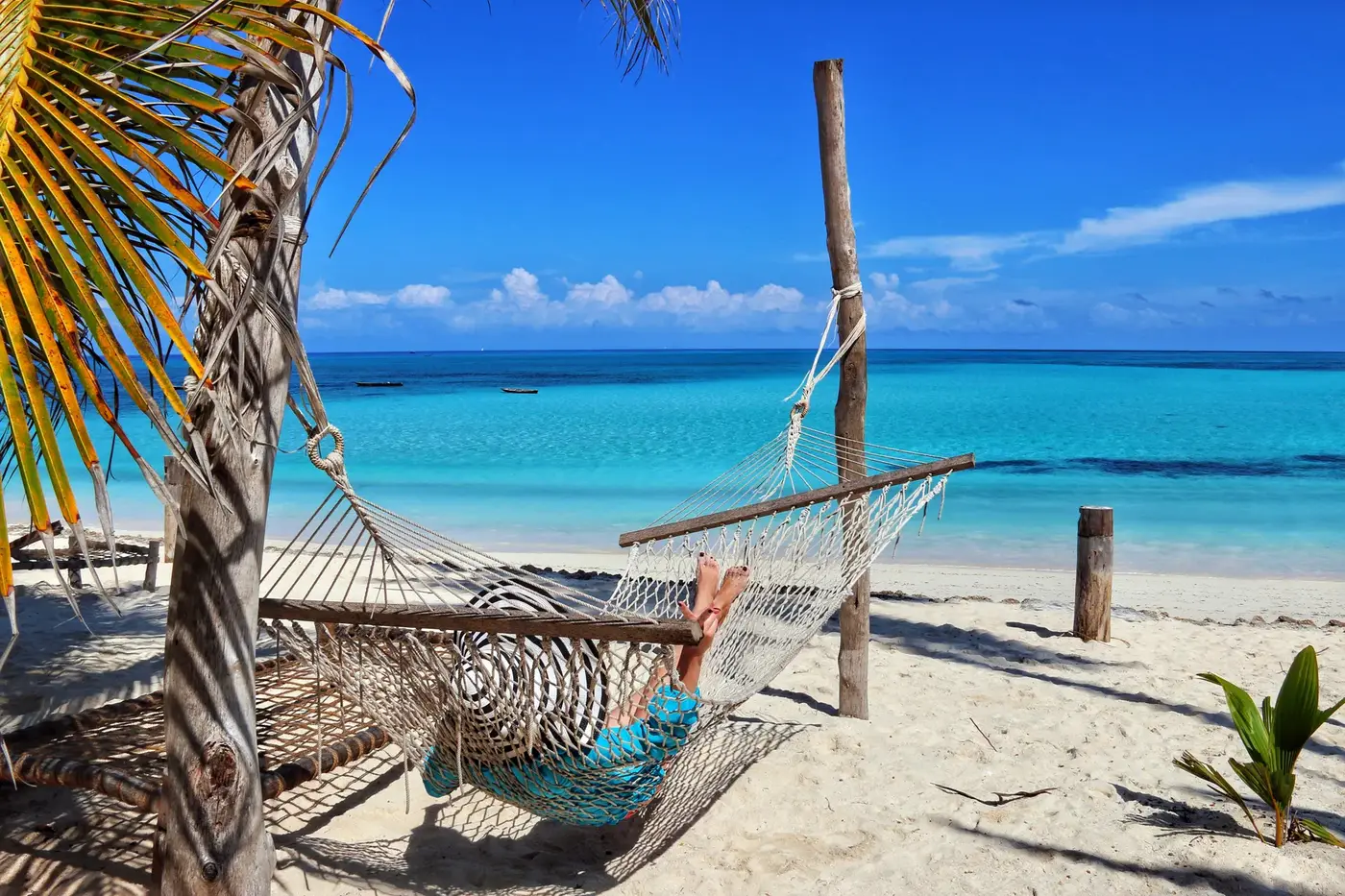 Serengeti to the Spice Coast — tailor-made luxury African safari itinerary, Tanzania & Zanzibar