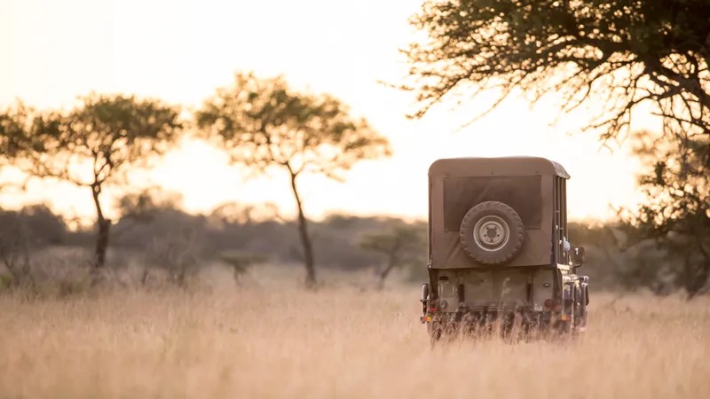 Guests on a safari game drive in Grumeti Reserve observing wildlife up close