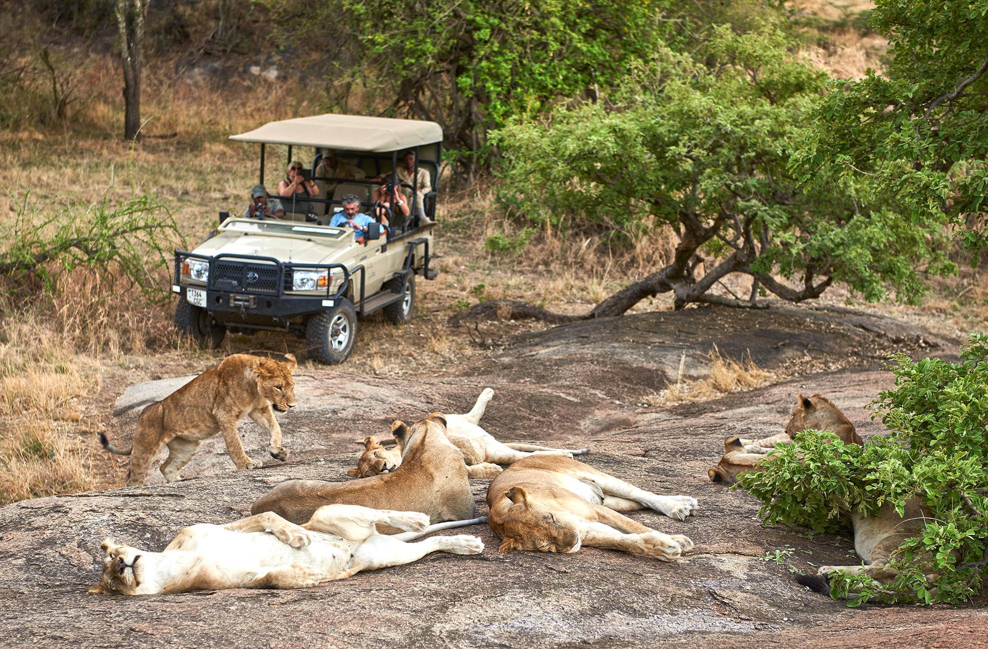 Mwiba Lodge