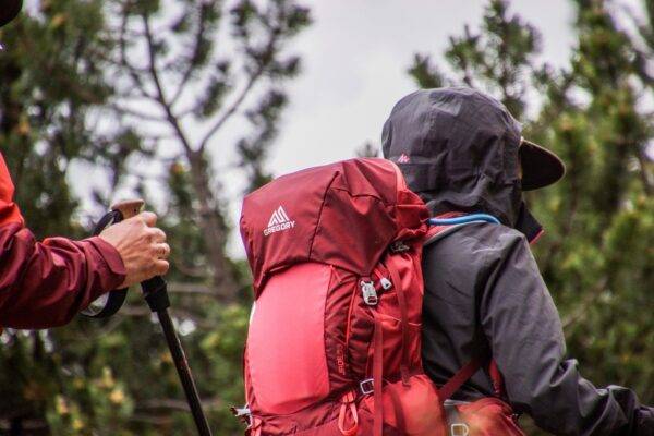 Kilimanjaro trekking