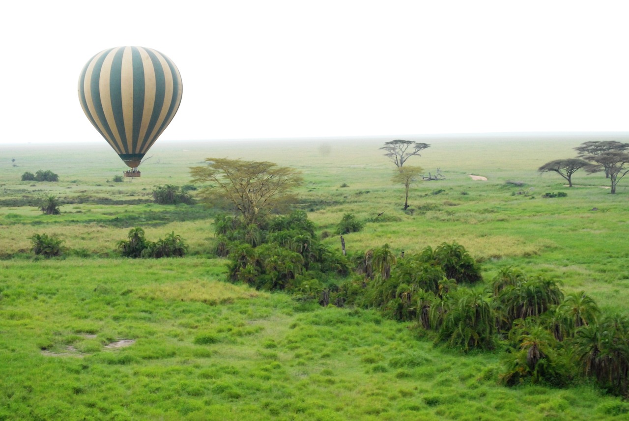 Hot Air Balloon