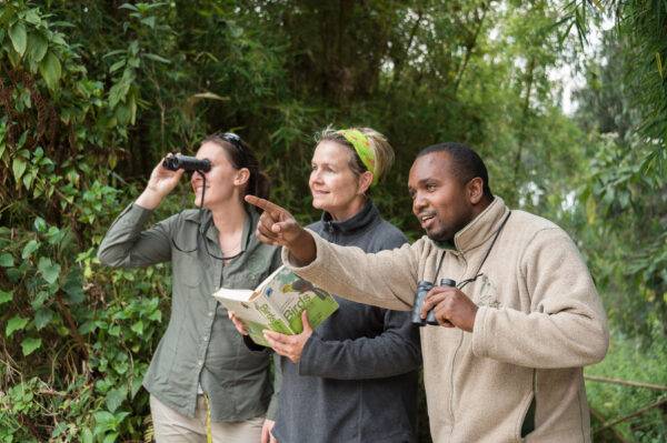 Sabyinyo Silverback lodge