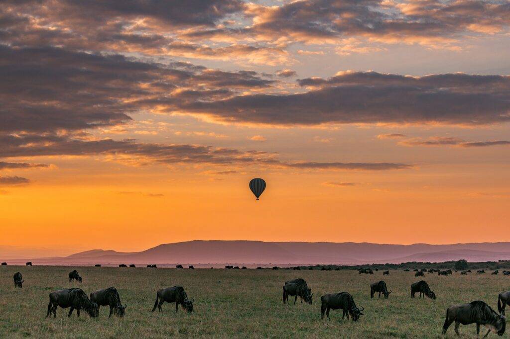 Luxury African safari hot air balloon ride at sunrise, providing breathtaking views and a unique wildlife perspective over the savannah.