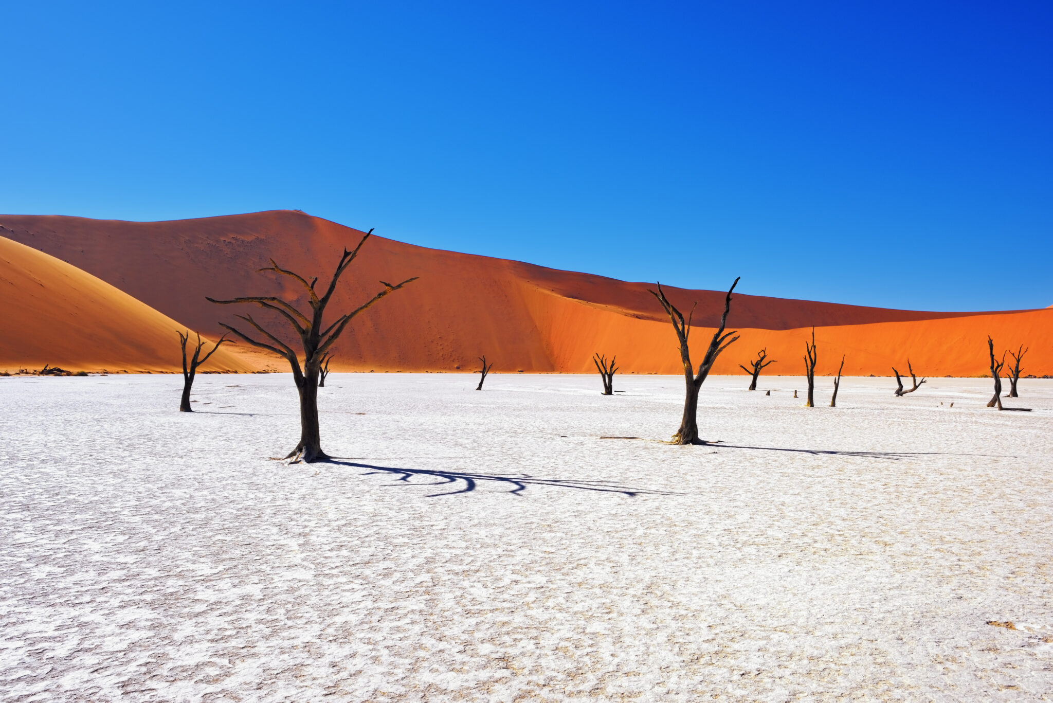 Towering red sand dunes in Namibia’s luxury african Safari Sossusvlei