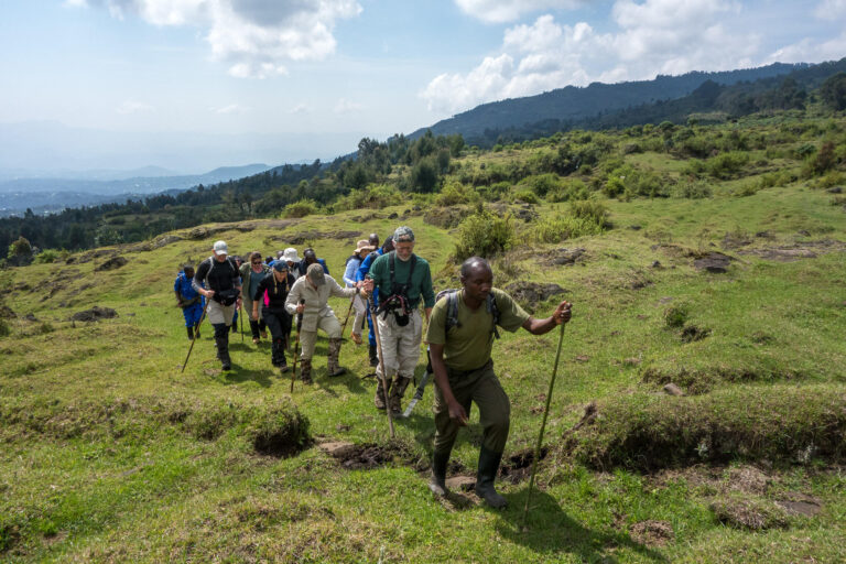 Bisate Lodge