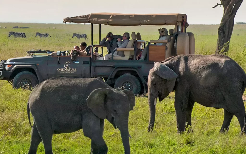 Safari game drive at One Nature Mara River showcasing wildlife along the Mara River