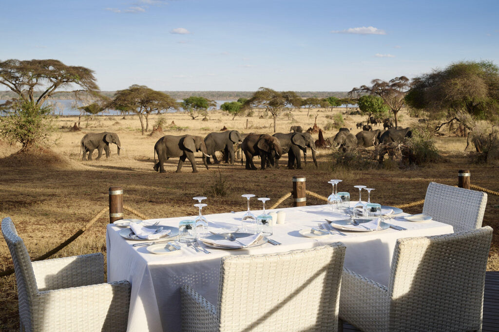 Elephant herd near Swala Camp in Tarangire National Park.