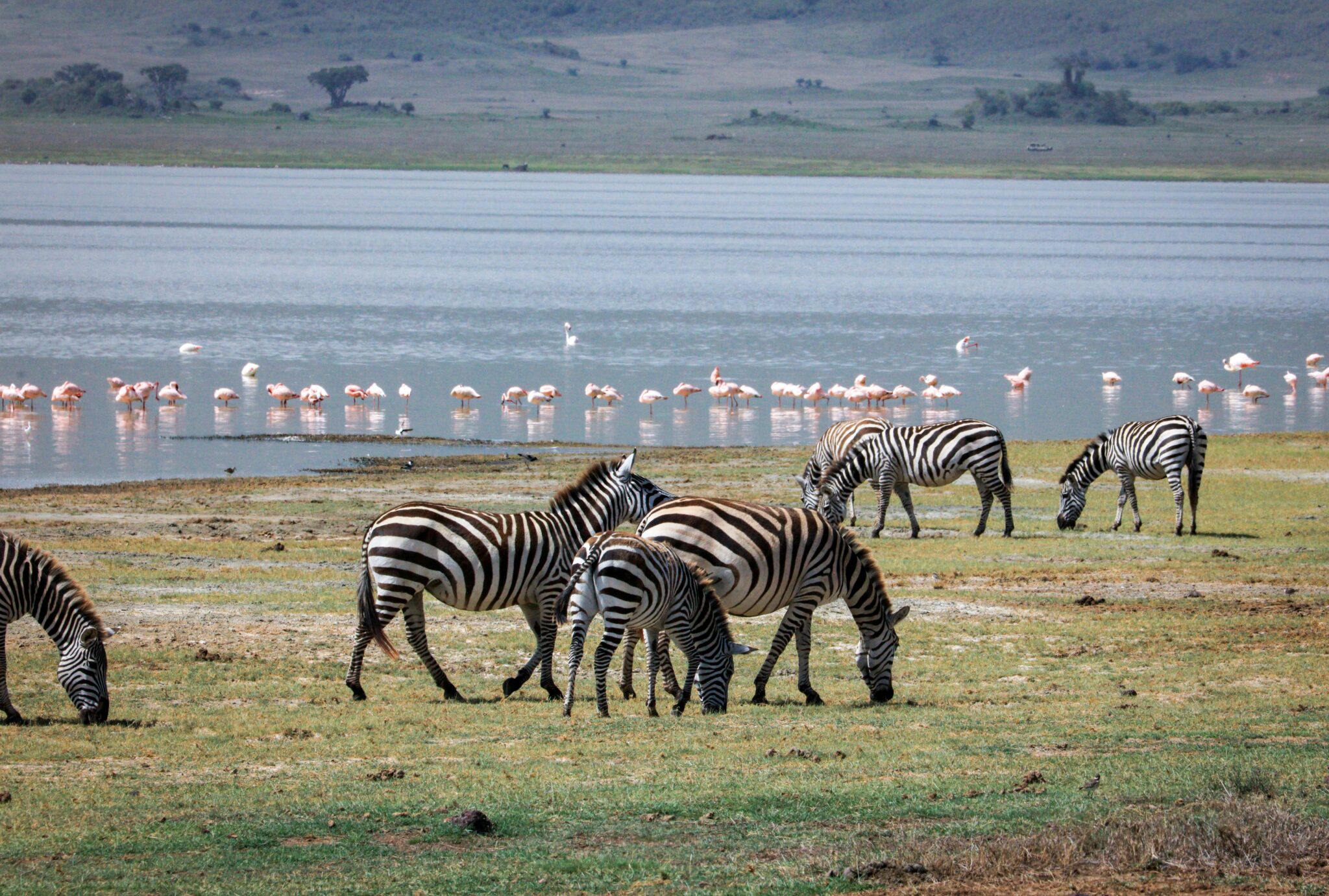 Ngorongoro Crater: A Natural Wonder of Tanzania