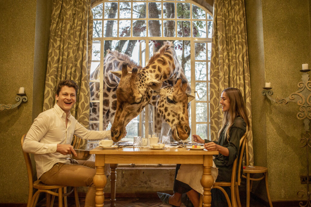 Couple enjoying breakfast with a giraffe at Giraffe Manor Hotel Nairobi.