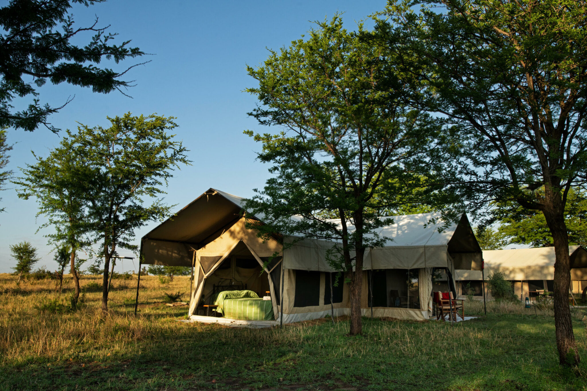 Serengeti Kati Camp Tented