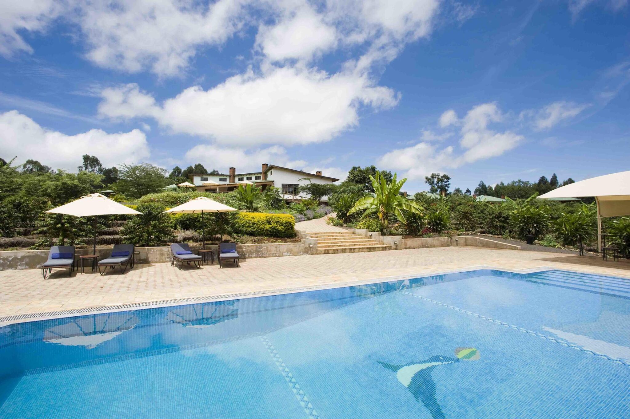 Tloma Lodge Karatu swimming pool