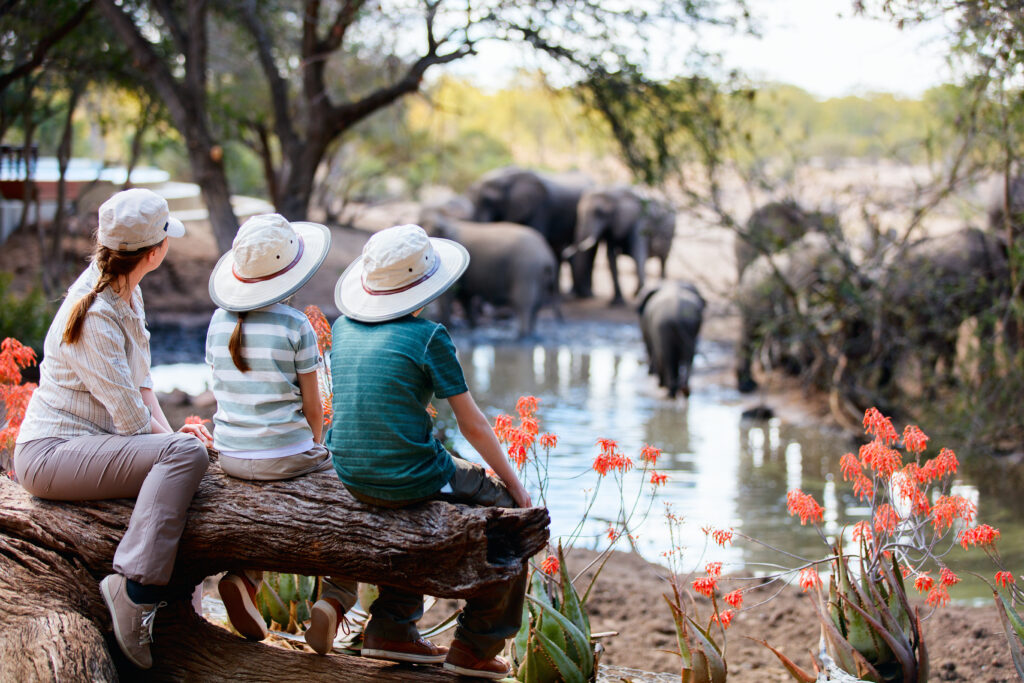 Mother and kids enjoying a Luxury African Family safari in South Africa