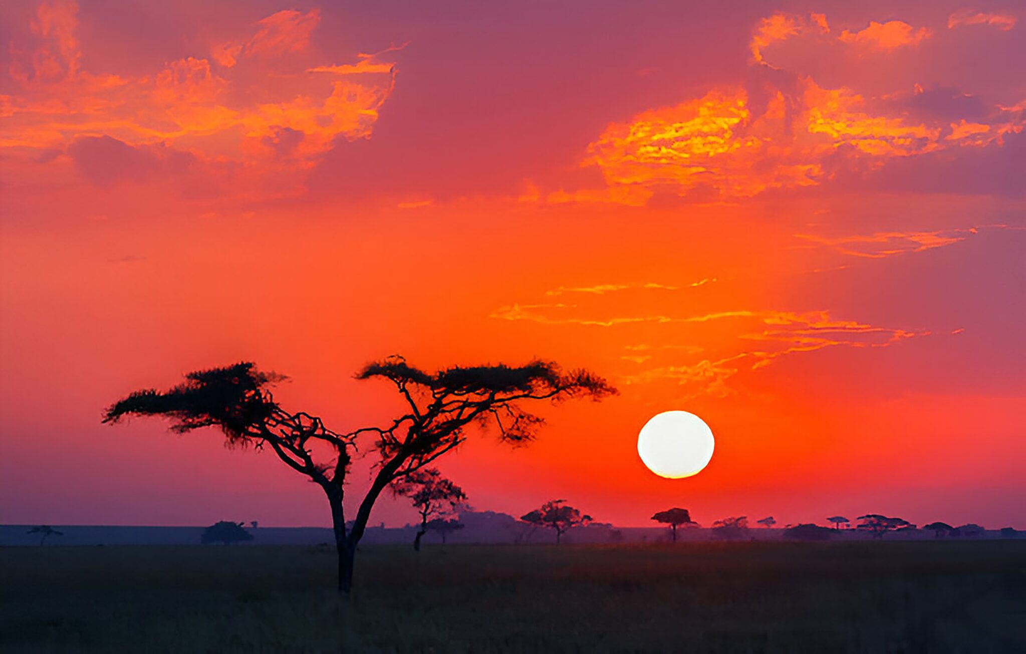 Sunset over Serengeti savanna during 7-day Tanzania safari