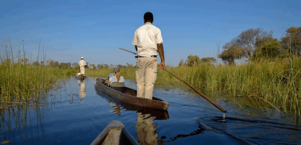 Luxury Safari Tours for US Travelers | Exclusive African Adventures