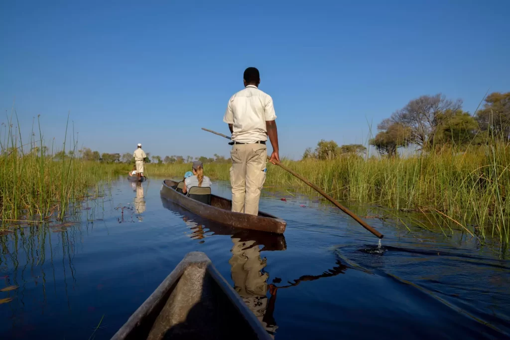 Luxury Safaris in Botswana