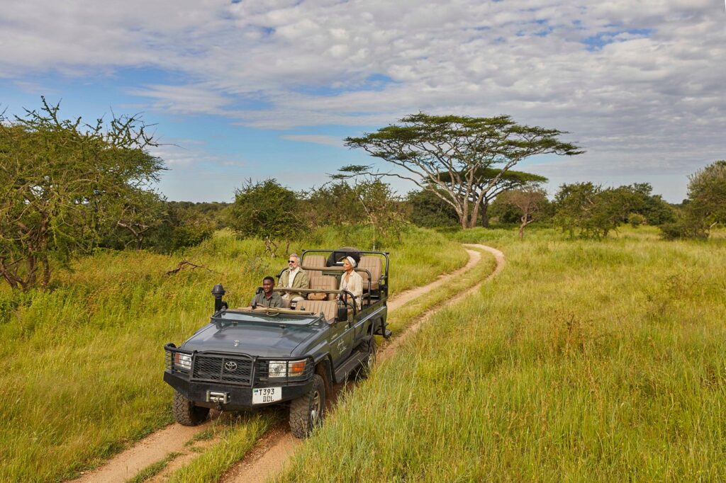 Mwiba Lodge Tanzania | Luxury Safari In Private Southern Serengeti Reserve