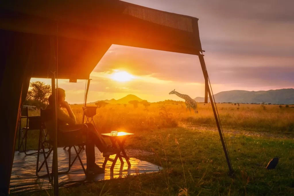 Glamping Safari Africa: Luxury Tented Camps