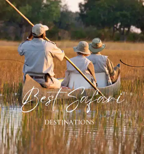 Top Luxury African Safari Destinations