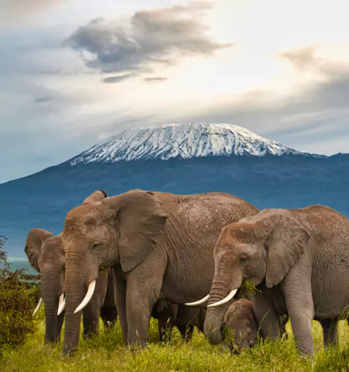 Best Travel Destinations 2025: Top Places to Visit in Africa