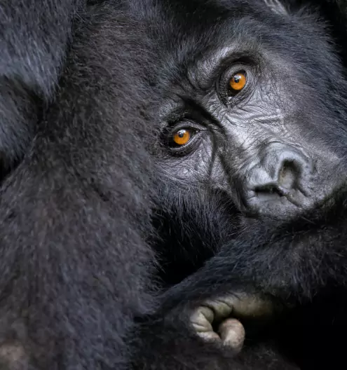 Best Travel Destinations 2025: Top Places to Visit in Africa