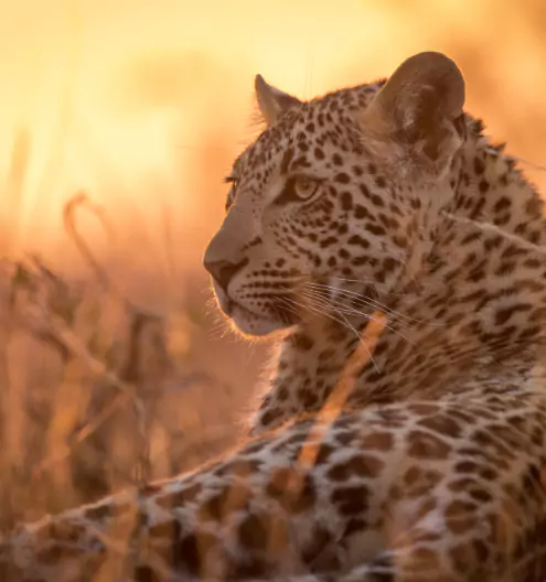 Best Travel Destinations 2025: Top Places to Visit in Africa