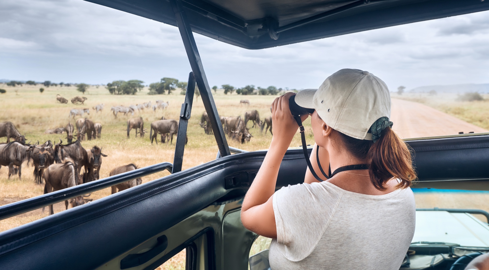 Best African Safari Tours 2026 | Luxury Experiences | NndeeAfrika