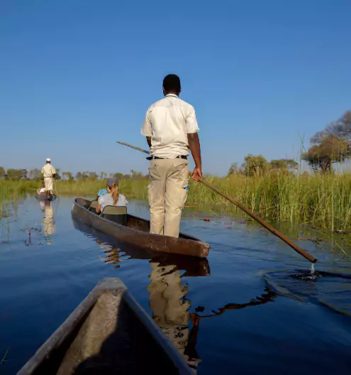 Chobe — luxury African safari