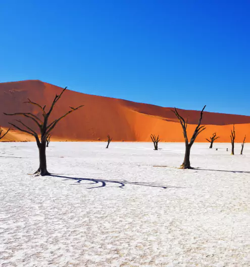 Namibia — luxury African safari