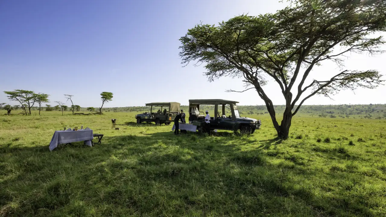 Game drive in a private conservancy, Olare Motorogi, Kenya on a luxury African safari