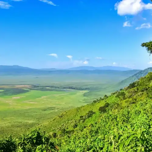The Slow Safari — Wellness, Digital Detox & Unhurried Travel